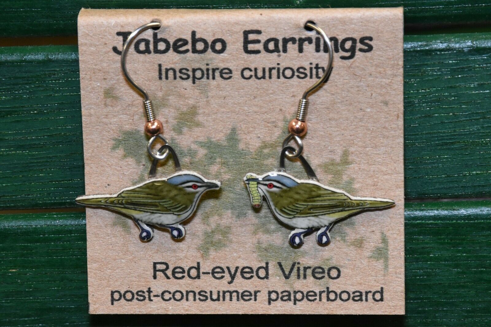 jab-vireo.jpg